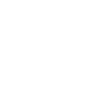 GUIDE